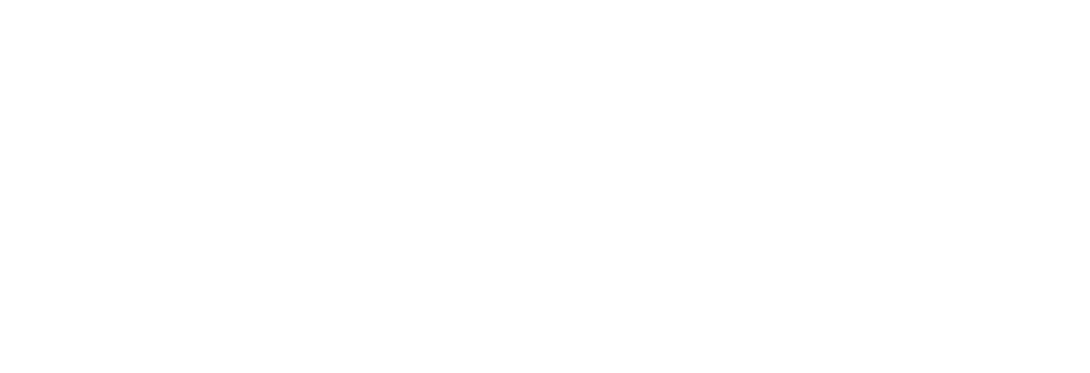 NOESIS — Shaping Value With Precision